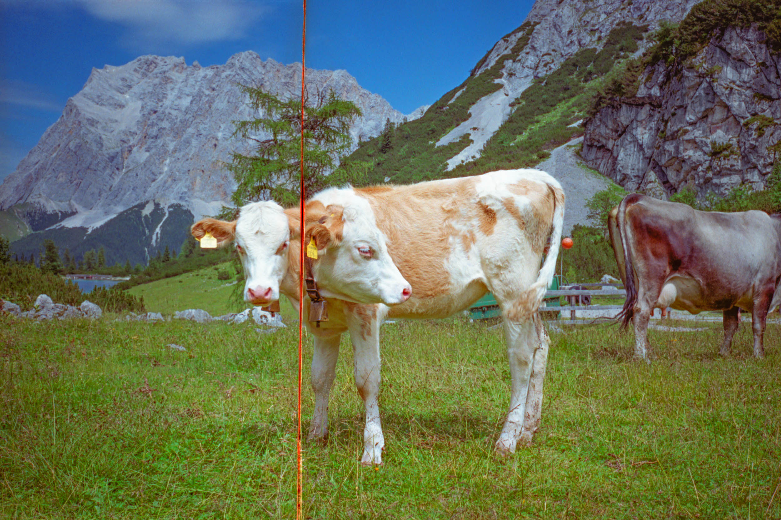  Dominik Hollaus Fotografie Grafikdesign