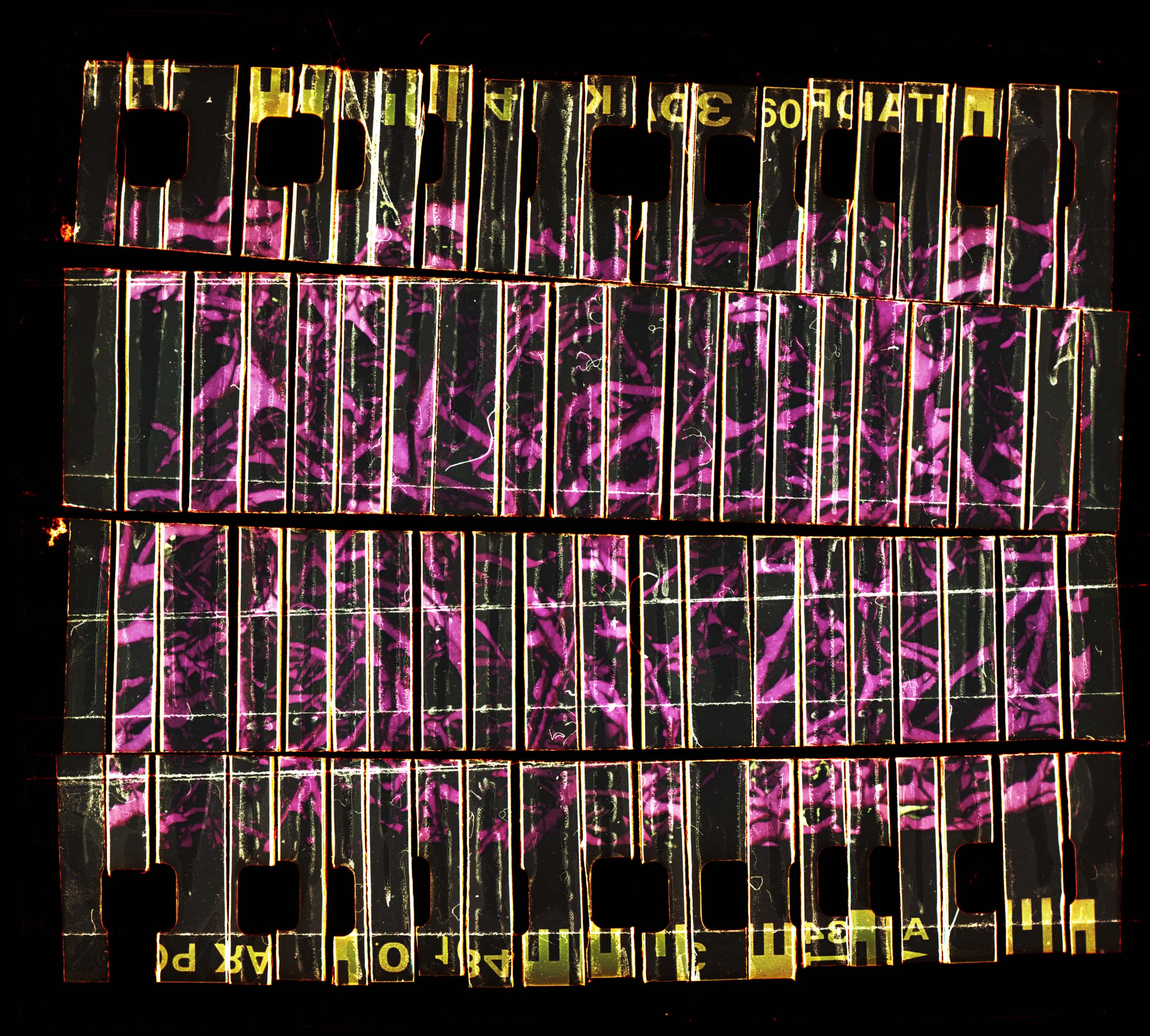  Dominik Hollaus Fotografie Grafikdesign