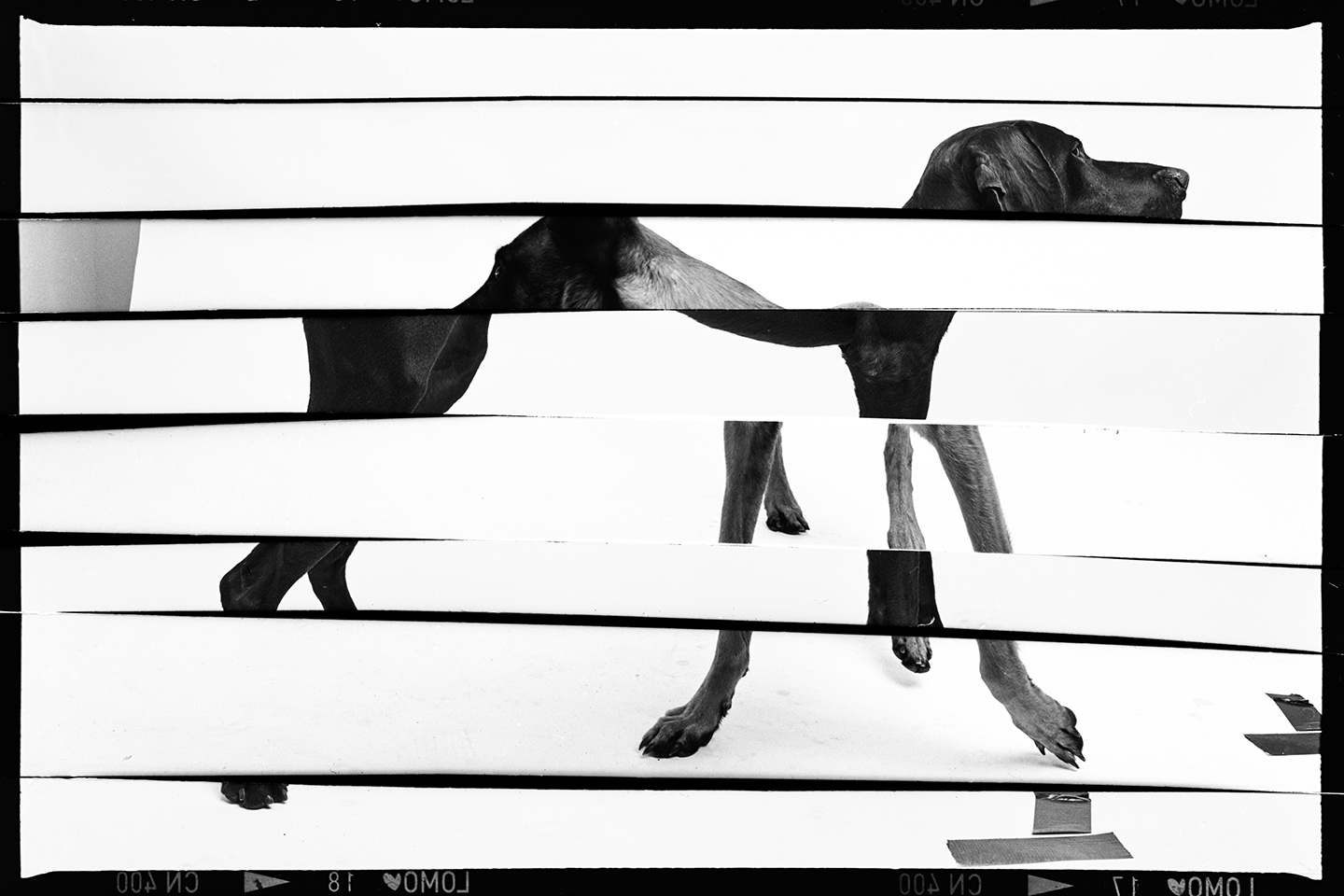 Dominik Hollaus - Negative Cuts - Series Dominik Hollaus Fotografie Grafikdesign