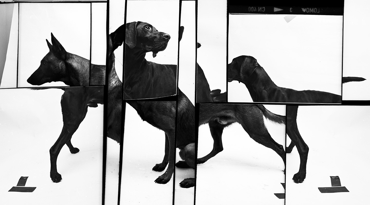 Dominik Hollaus - Negative Cuts - Series Dominik Hollaus Fotografie Grafikdesign