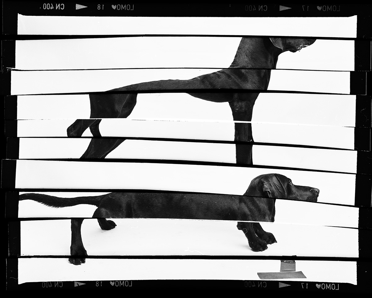 Dominik Hollaus - Negative Cuts - Series Dominik Hollaus Fotografie Grafikdesign