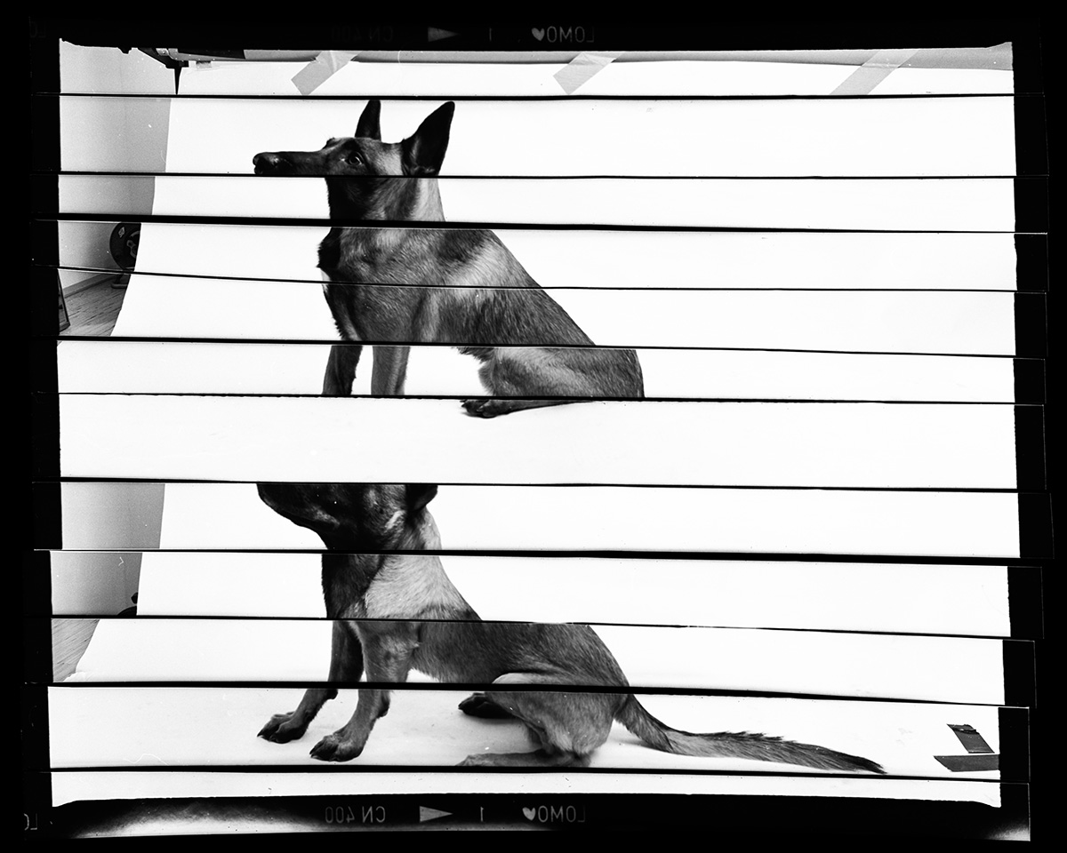 Dominik Hollaus - Negative Cuts - Series Dominik Hollaus Fotografie Grafikdesign