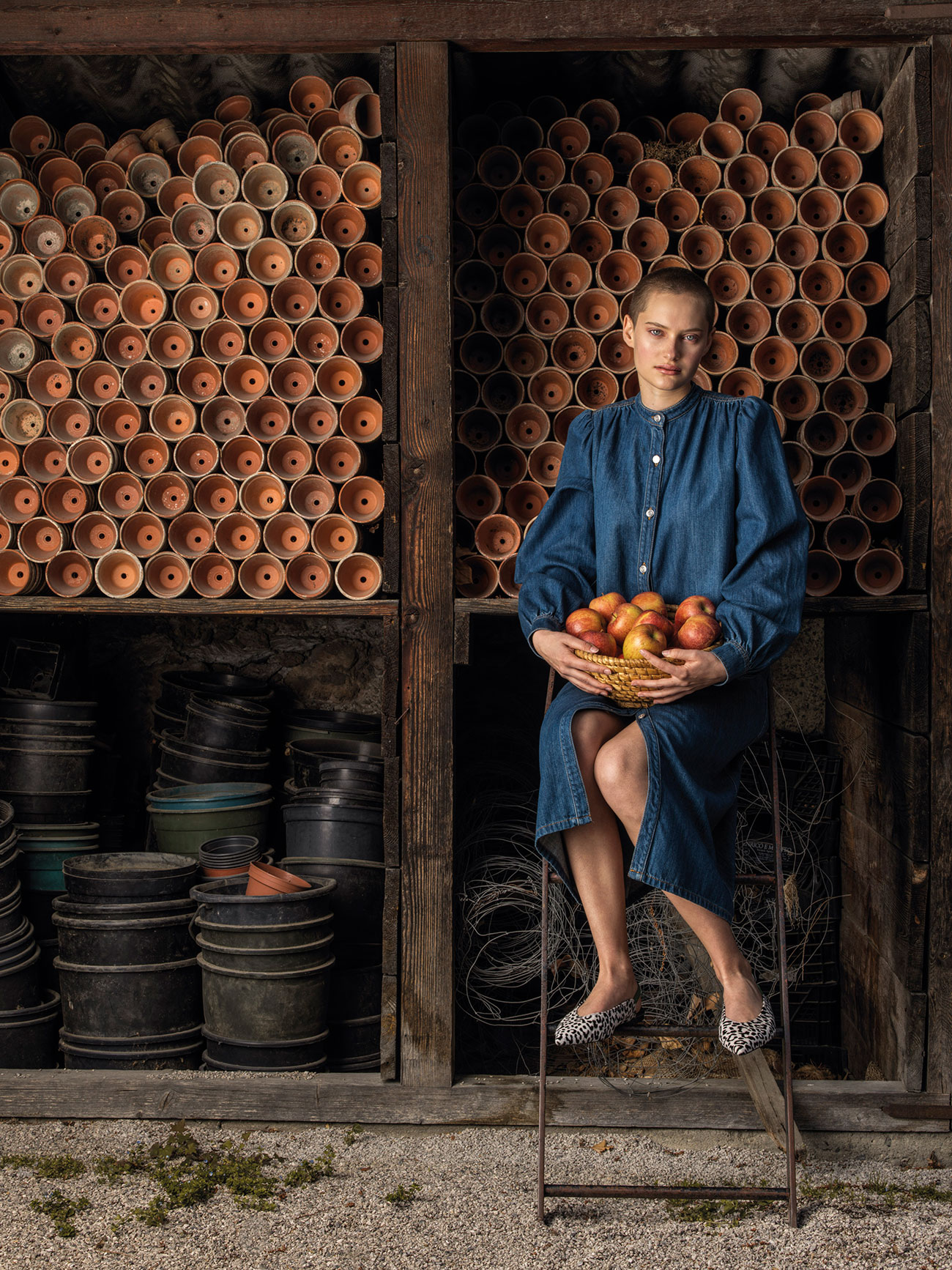  Dominik Hollaus Fotografie Grafikdesign