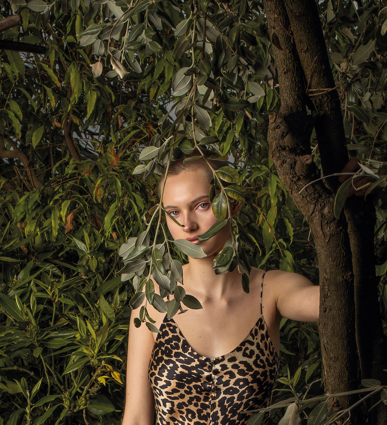  Dominik Hollaus Fotografie Grafikdesign