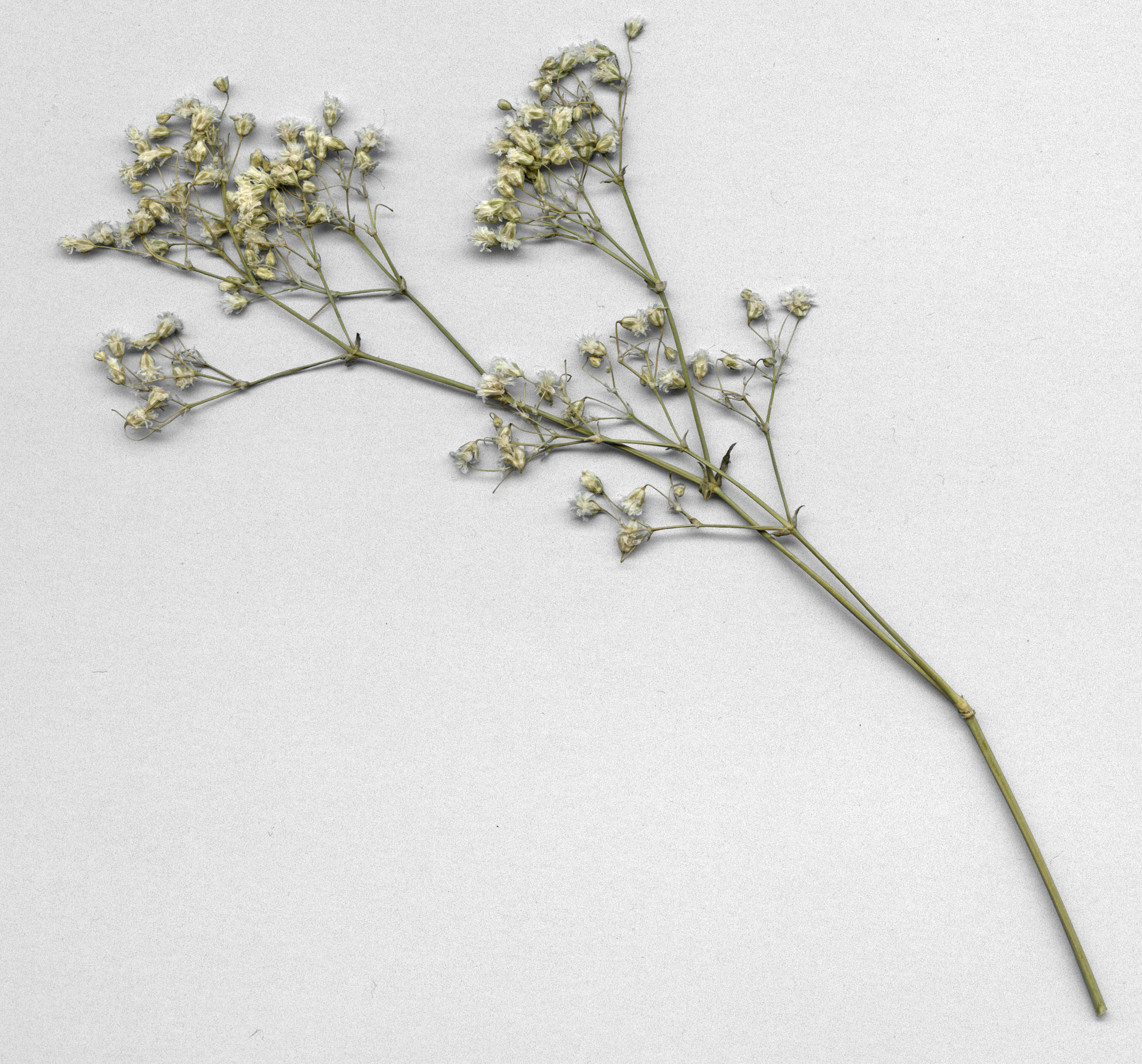  Dominik Hollaus Fotografie Grafikdesign