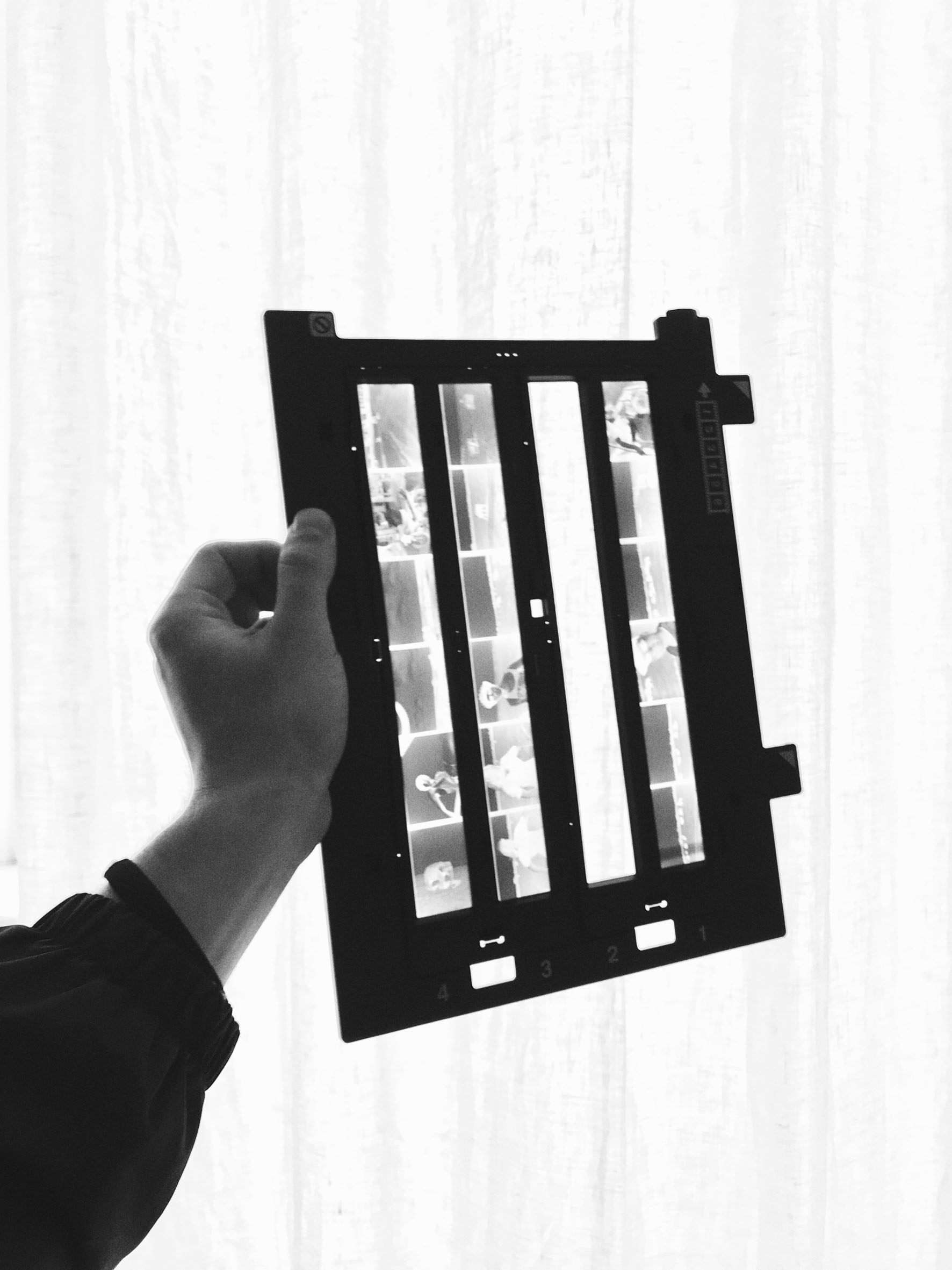  Dominik Hollaus Fotografie Grafikdesign