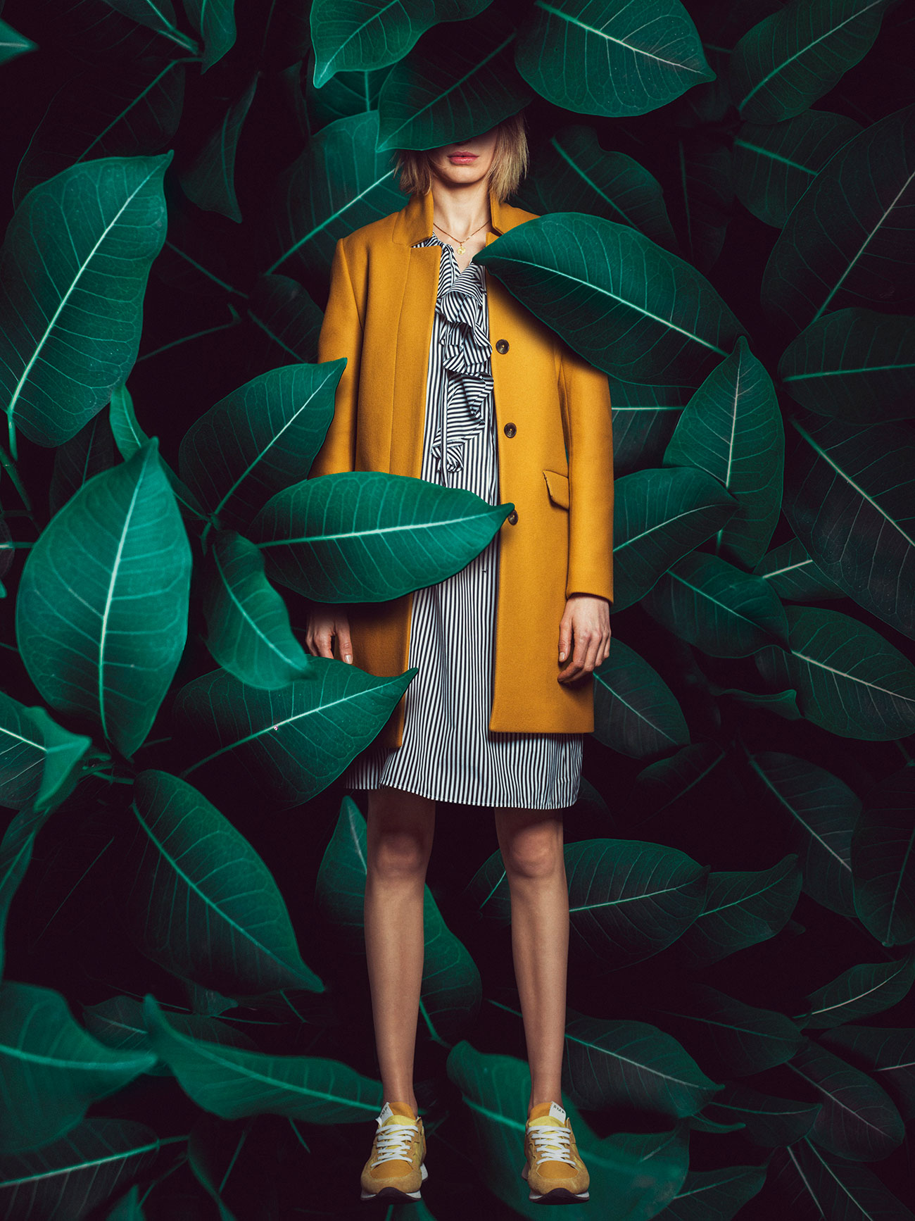  Dominik Hollaus Fotografie Grafikdesign