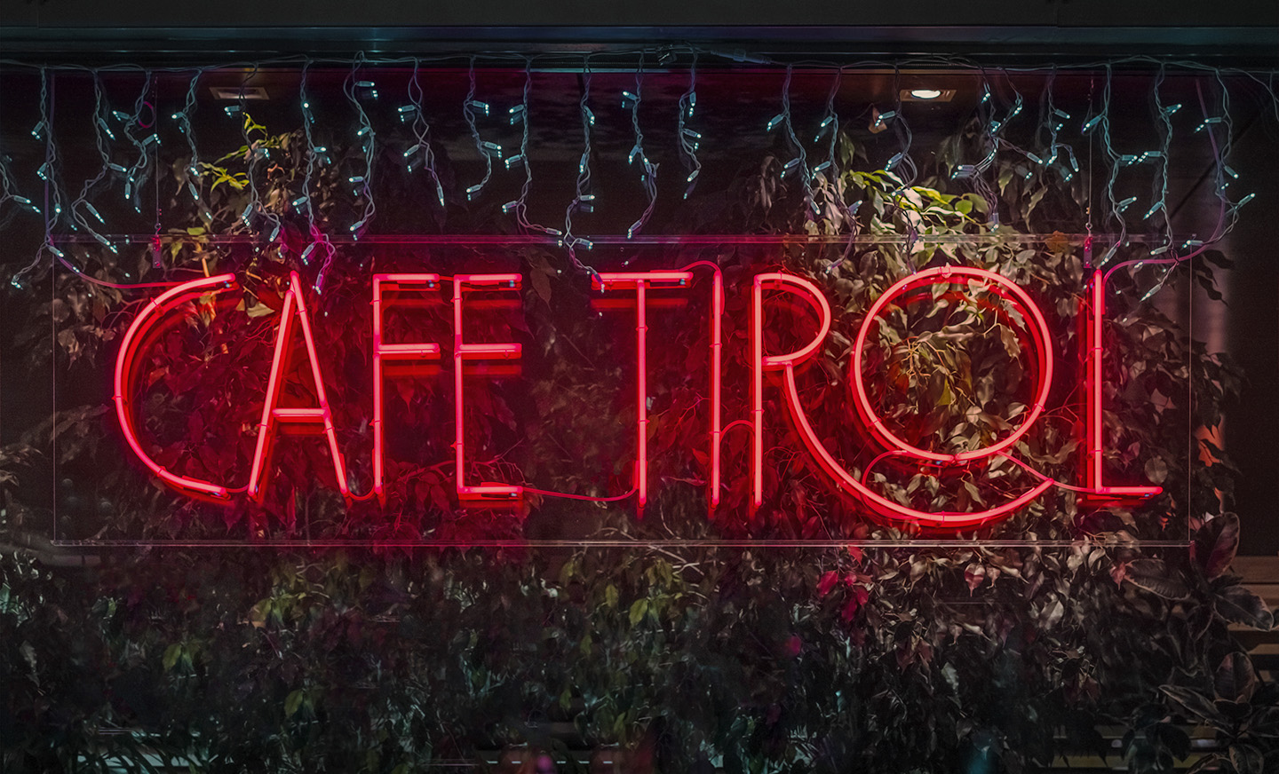  Dominik Hollaus Fotografie Grafikdesign