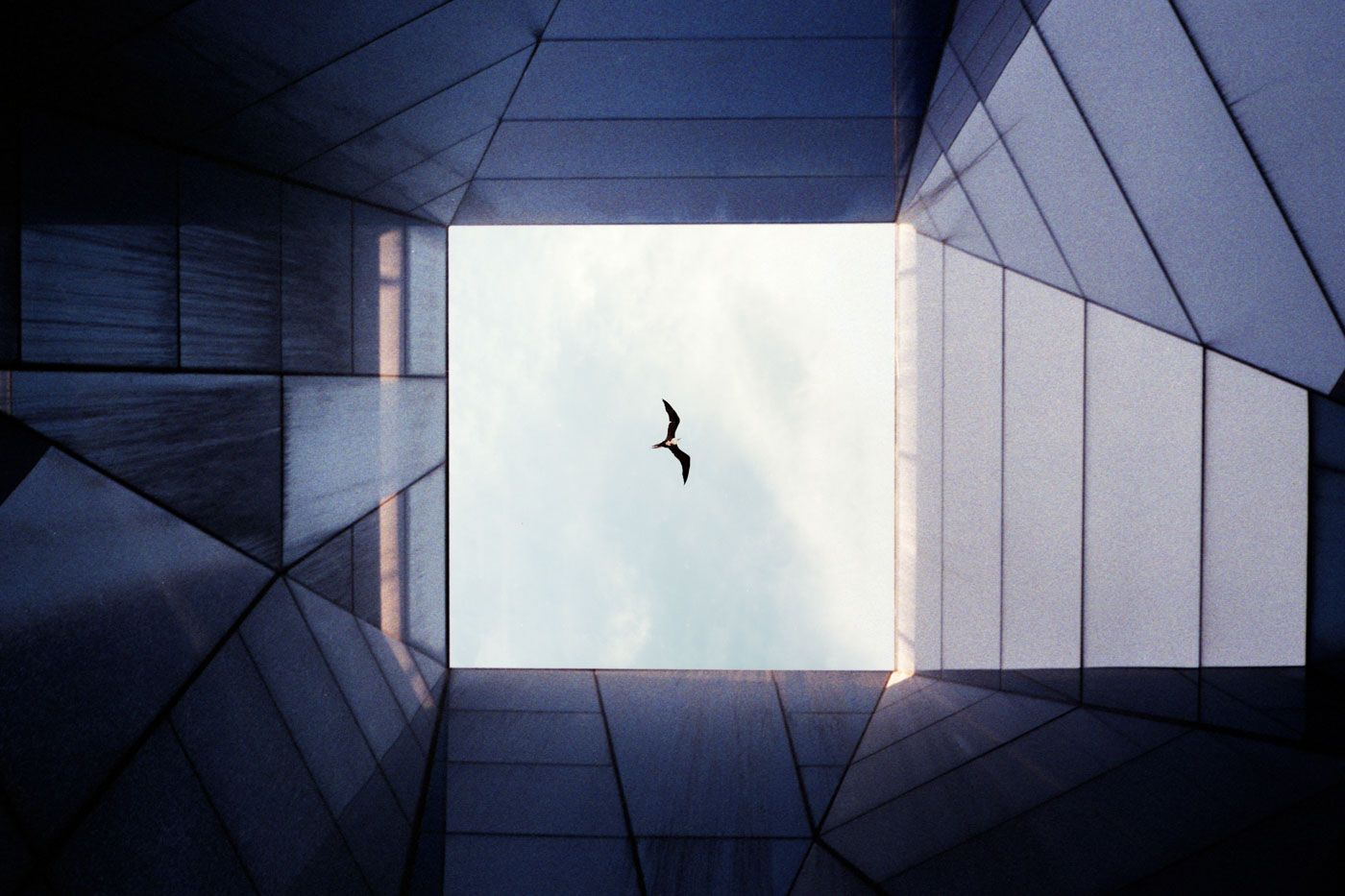 Dominik Hollaus - Architektur Dominik Hollaus Fotografie Grafikdesign