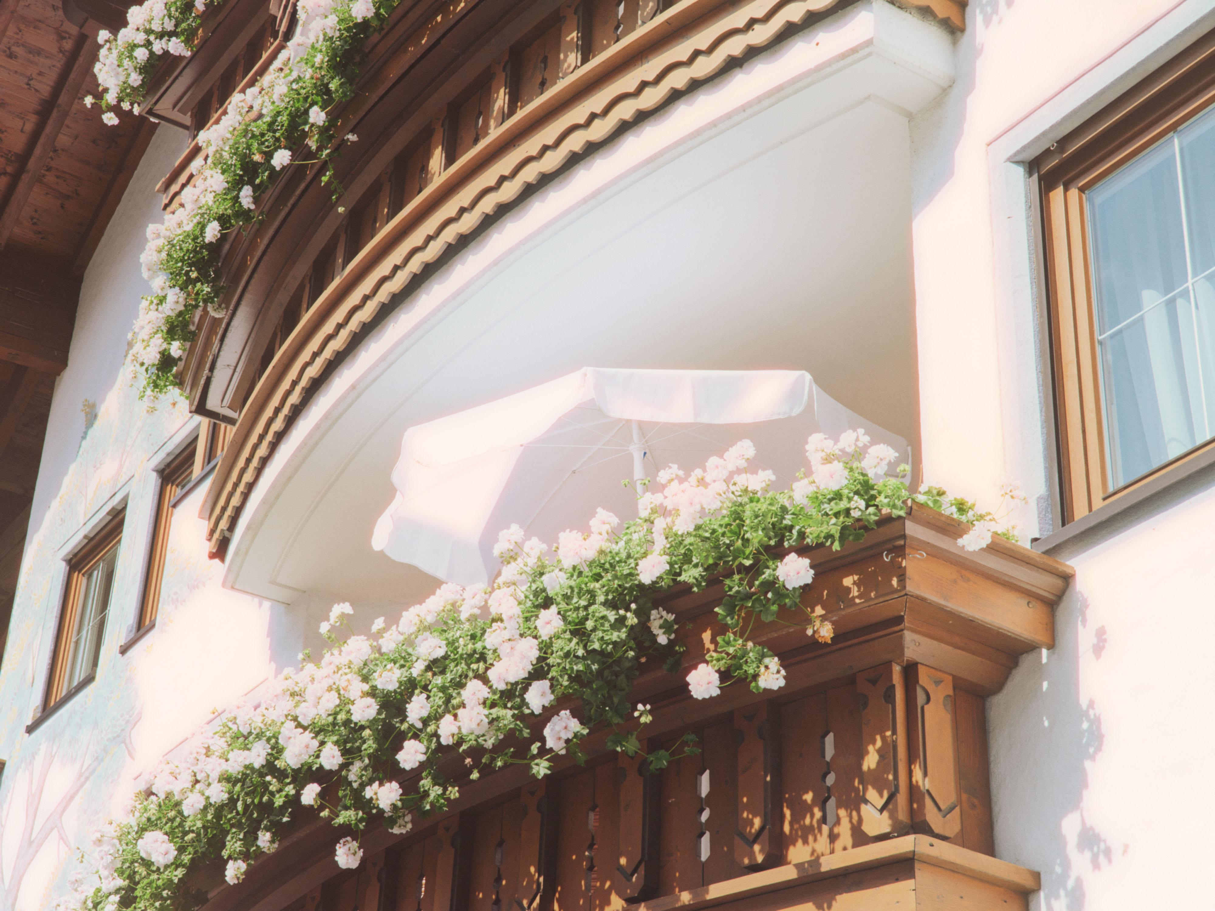  Dominik Hollaus Fotografie Grafikdesign