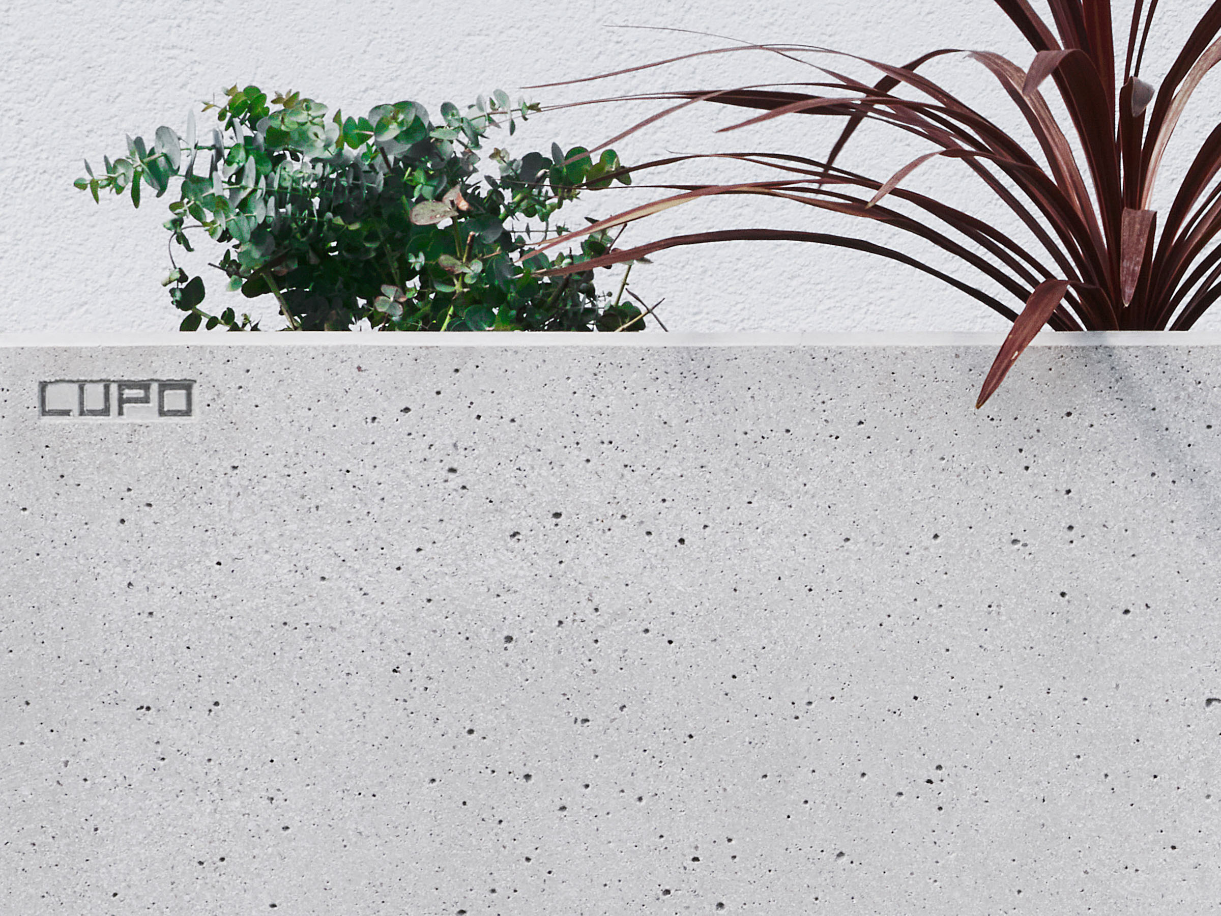  Dominik Hollaus Fotografie Grafikdesign