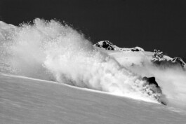  Dominik Hollaus Fotografie Grafikdesign