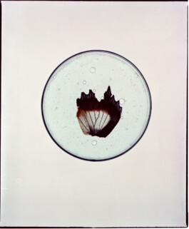  Dominik Hollaus Fotografie Grafikdesign