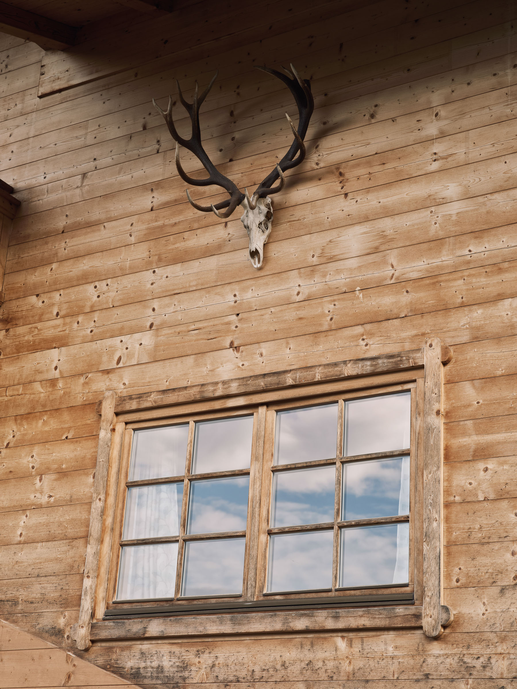  Dominik Hollaus Fotografie Grafikdesign