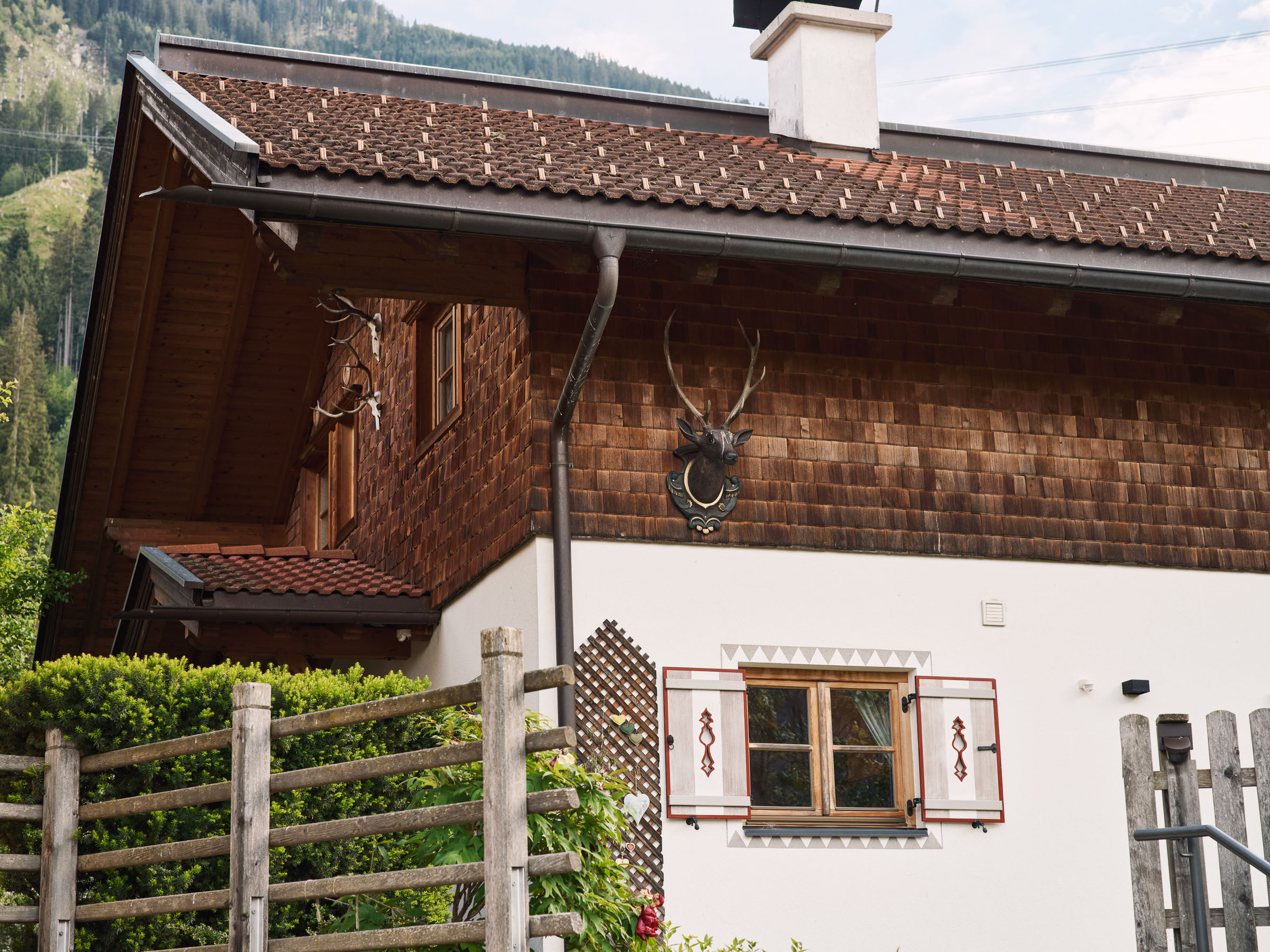  Dominik Hollaus Fotografie Grafikdesign