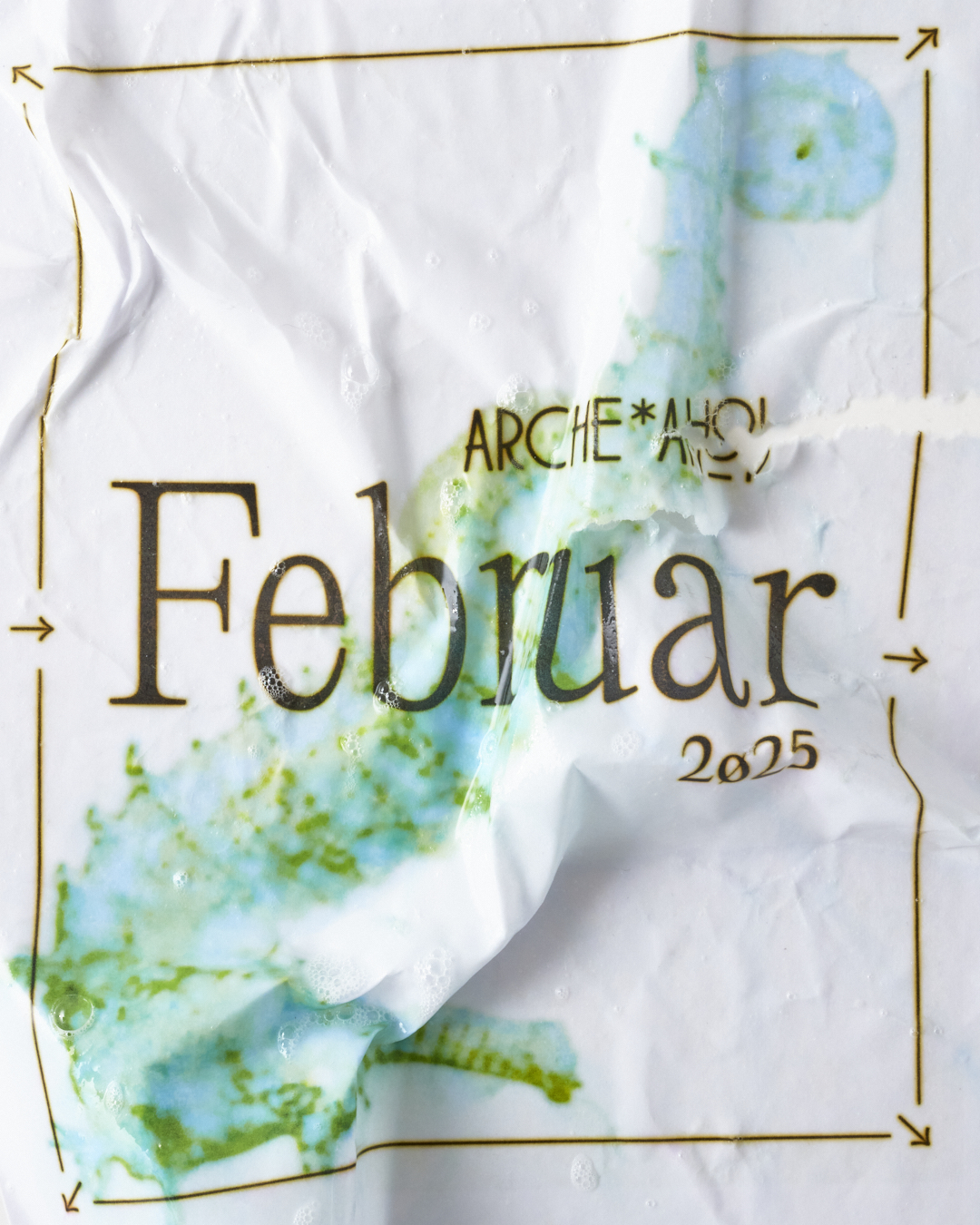  Dominik Hollaus Fotografie Grafikdesign