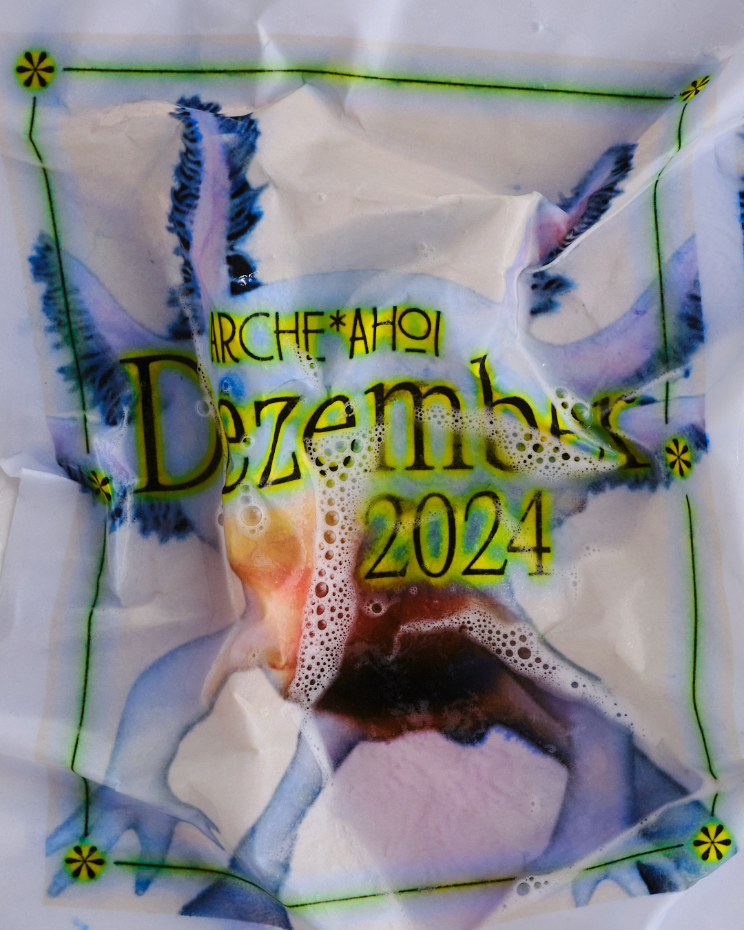  Dominik Hollaus Fotografie Grafikdesign