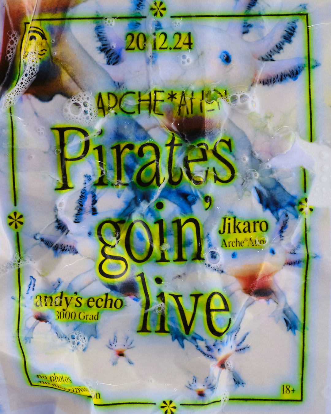  Dominik Hollaus Fotografie Grafikdesign