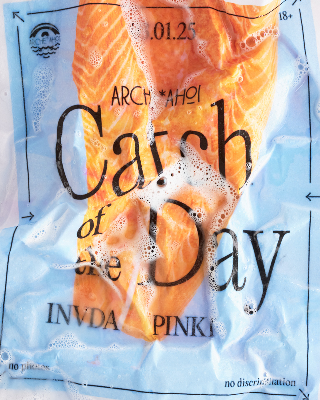  Dominik Hollaus Fotografie Grafikdesign