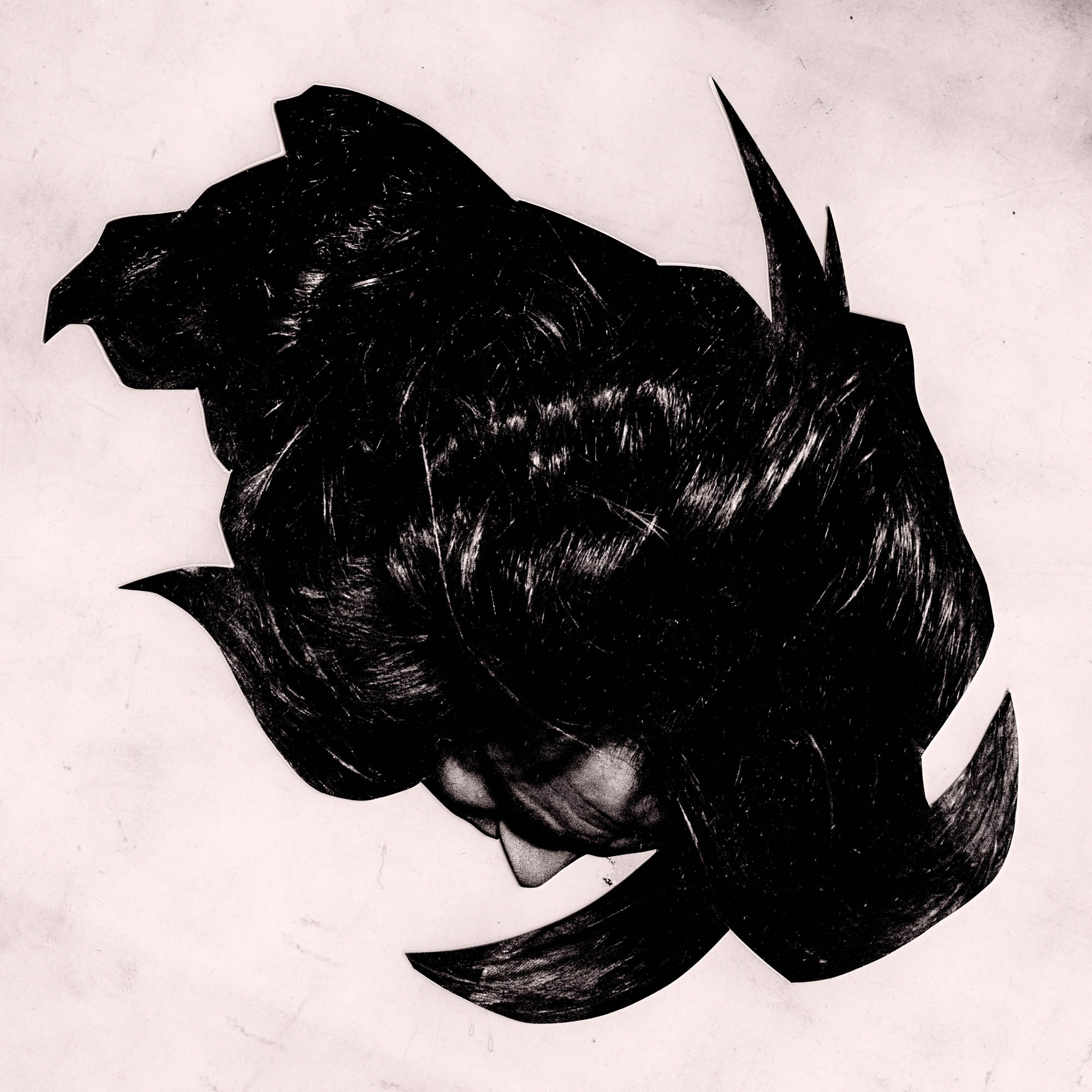 Sempre-Caoz-Collage_2025_DominikHollaus-17 Dominik Hollaus Fotografie Grafikdesign