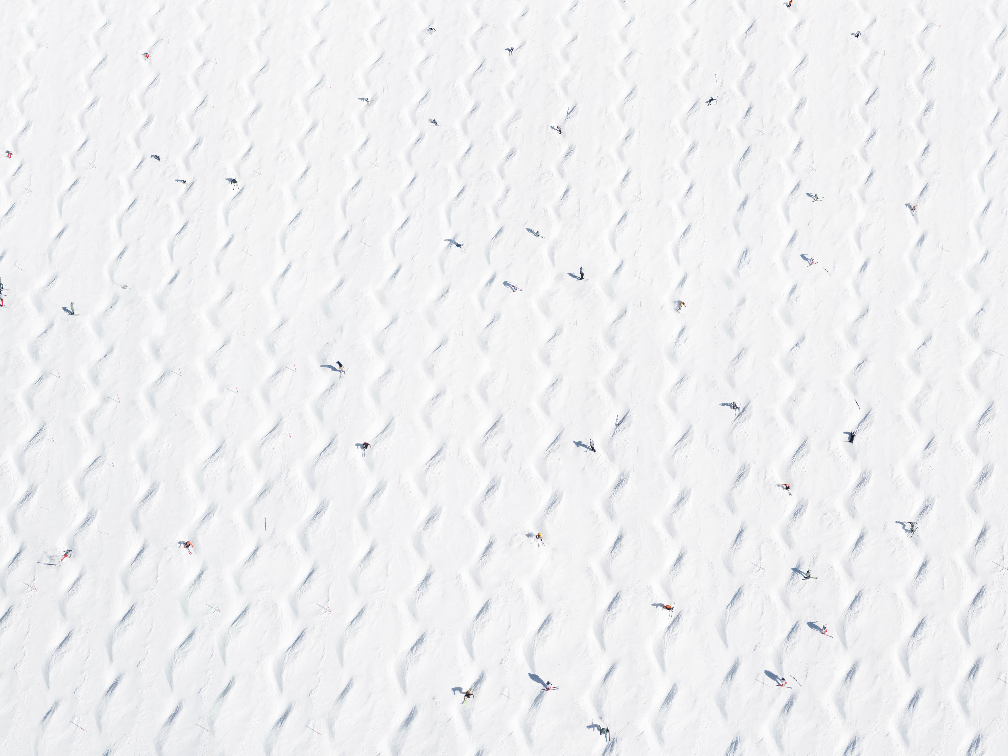 Winterbild Tux Buckel II Dominik Hollaus Fotografie Grafikdesign