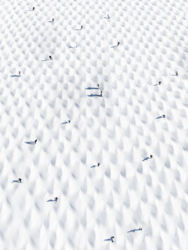 Winterbild Tux Buckel I Dominik Hollaus Fotografie Grafikdesign
