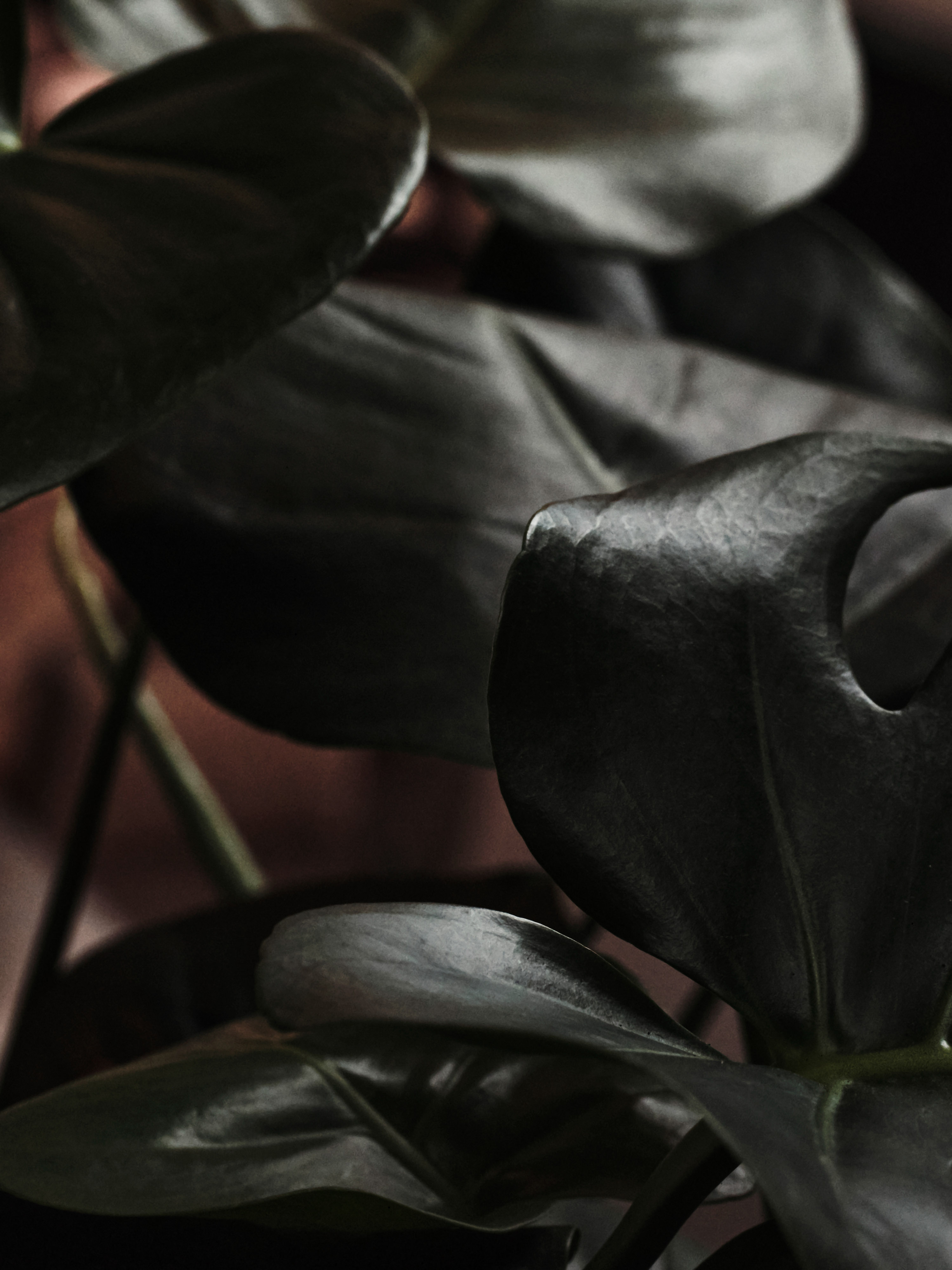  Dominik Hollaus Fotografie Grafikdesign